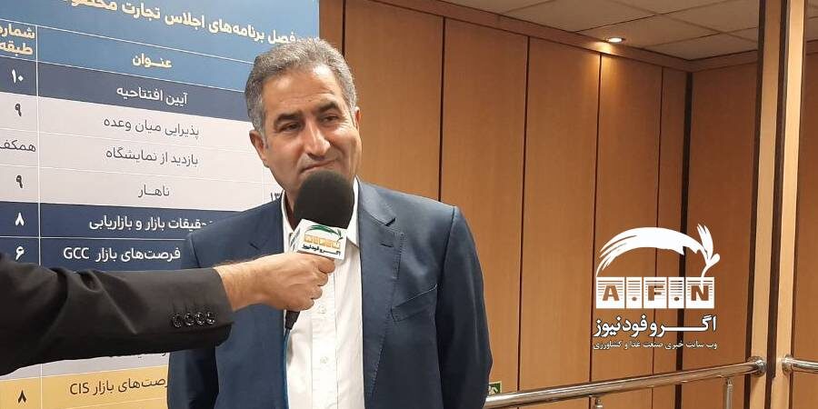 فقدان زیرساخت انتقال ارز، عامل اصلی عدم روابط اقتصادی مناسب با سایر کشورها است